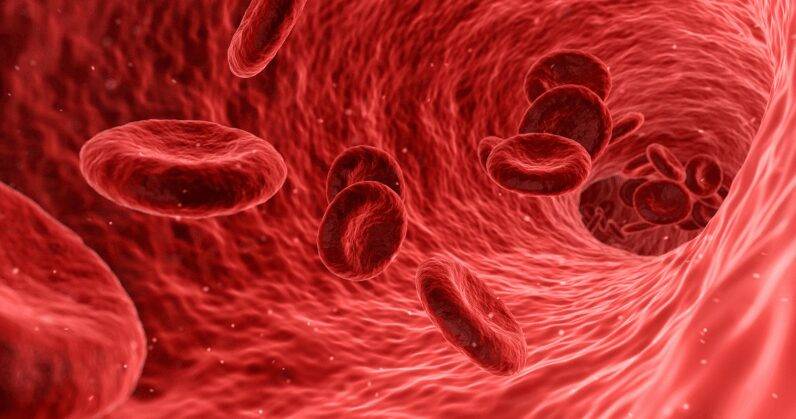 Blood Test to Identify Individuals for Lung Cancer Screening