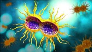 Rates of three STDs in US reach record high, CDC says