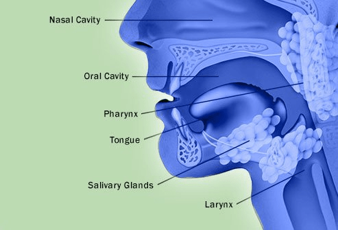 Head and Neck Cancers